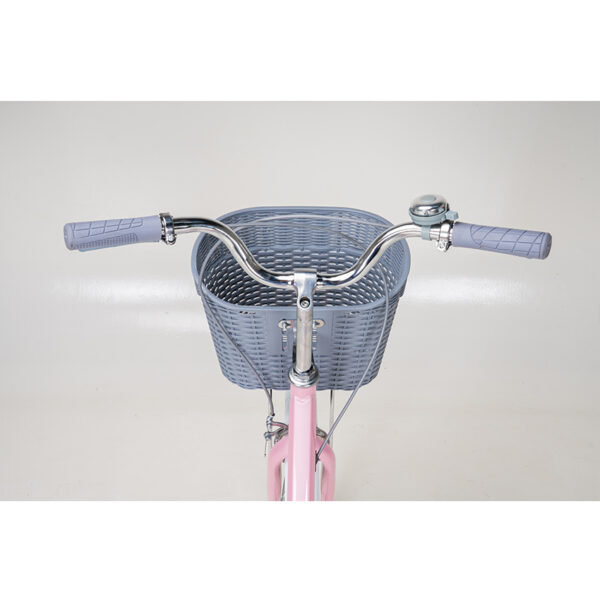 xe Đạp trẻ em youth raptor helen 2 bánh 22 inch
