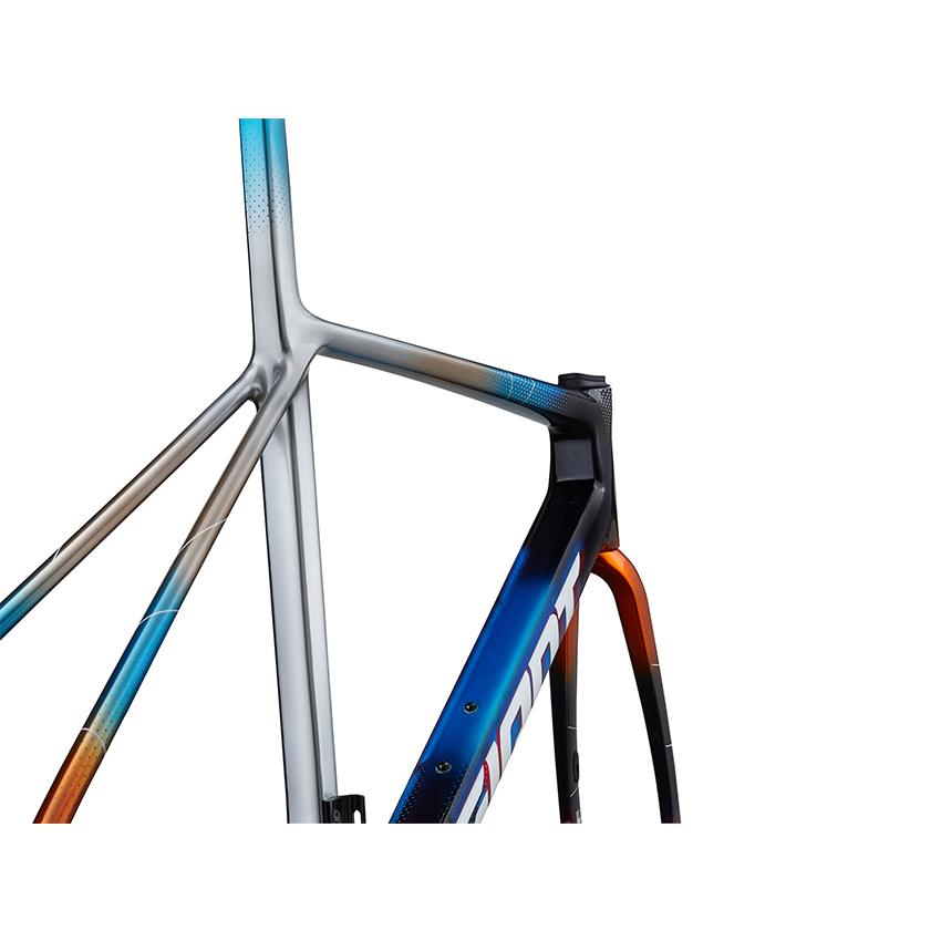 Khung Sườn Xe Đạp GIANT TCR Advanced SL Frame And Fork - Ảnh 6