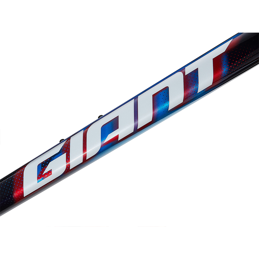 Khung Sườn Xe Đạp GIANT TCR Advanced SL Frame And Fork - Ảnh 4